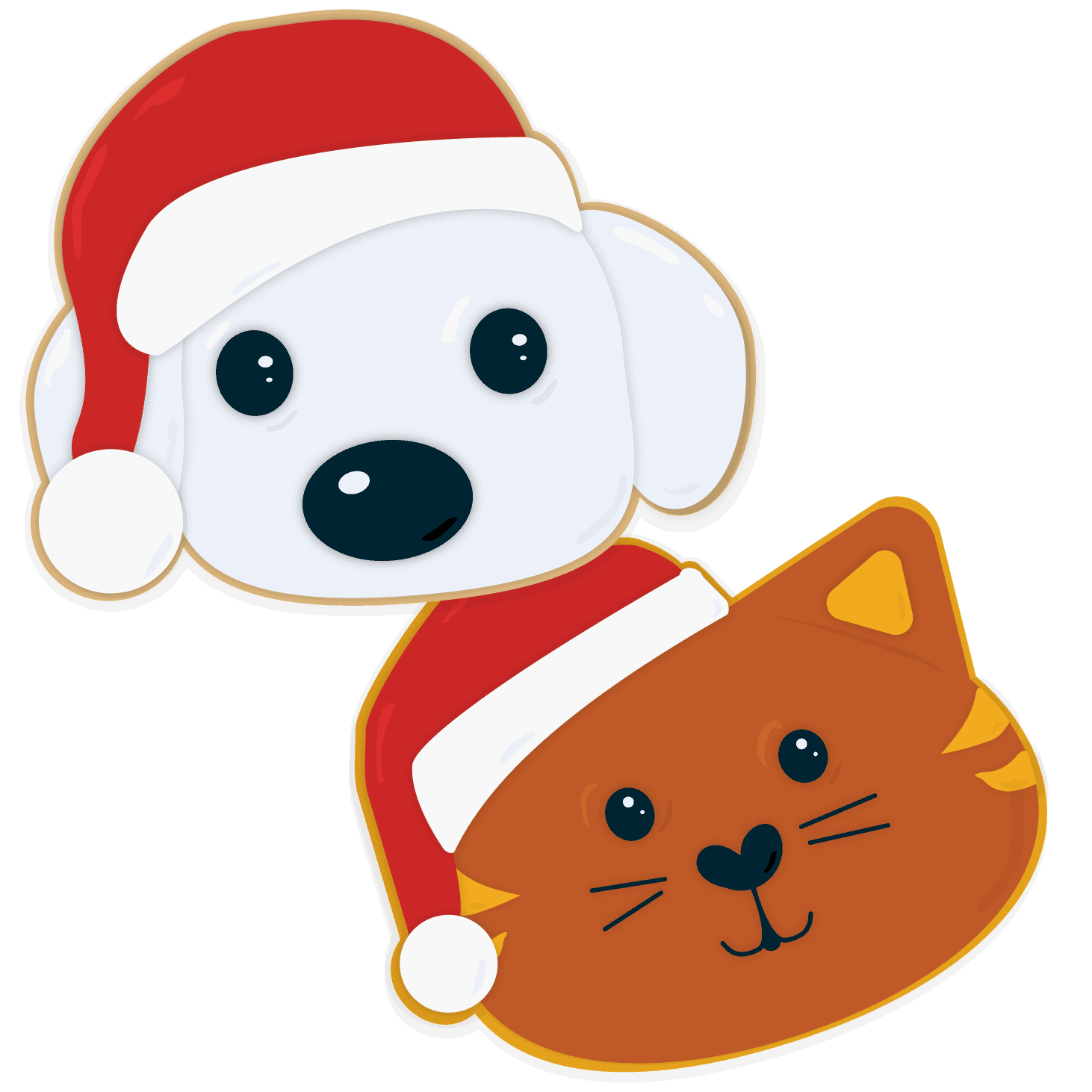cat and dog